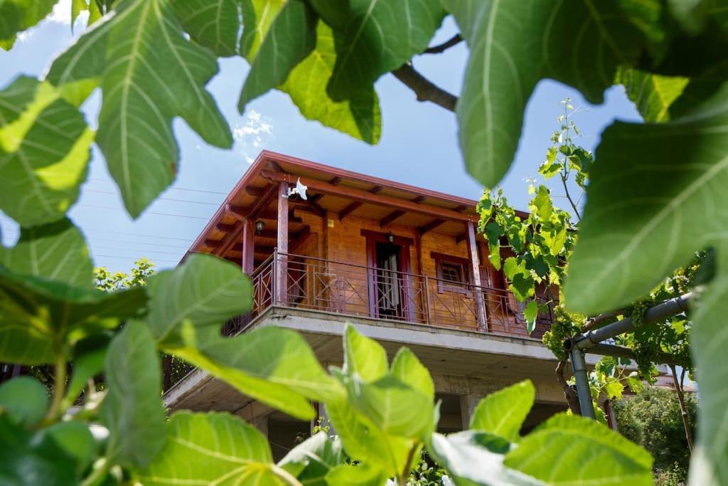 Wooden House In Ioannina Apartment Exterior photo