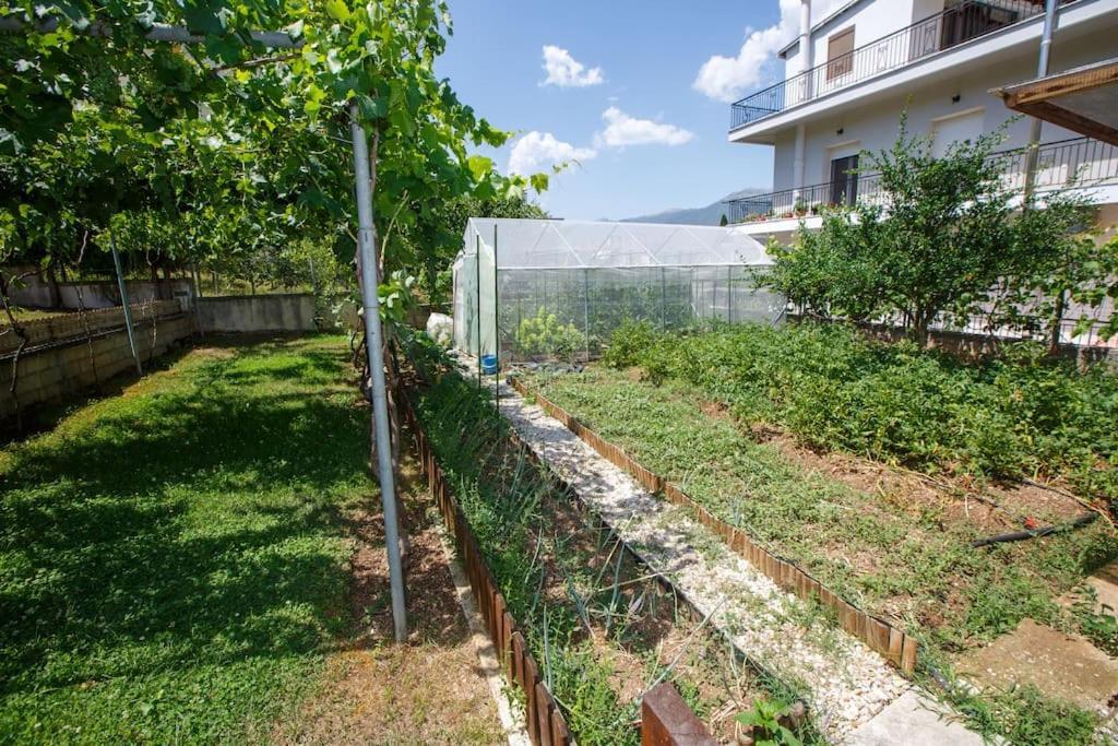 Wooden House In Ioannina Apartment Exterior photo