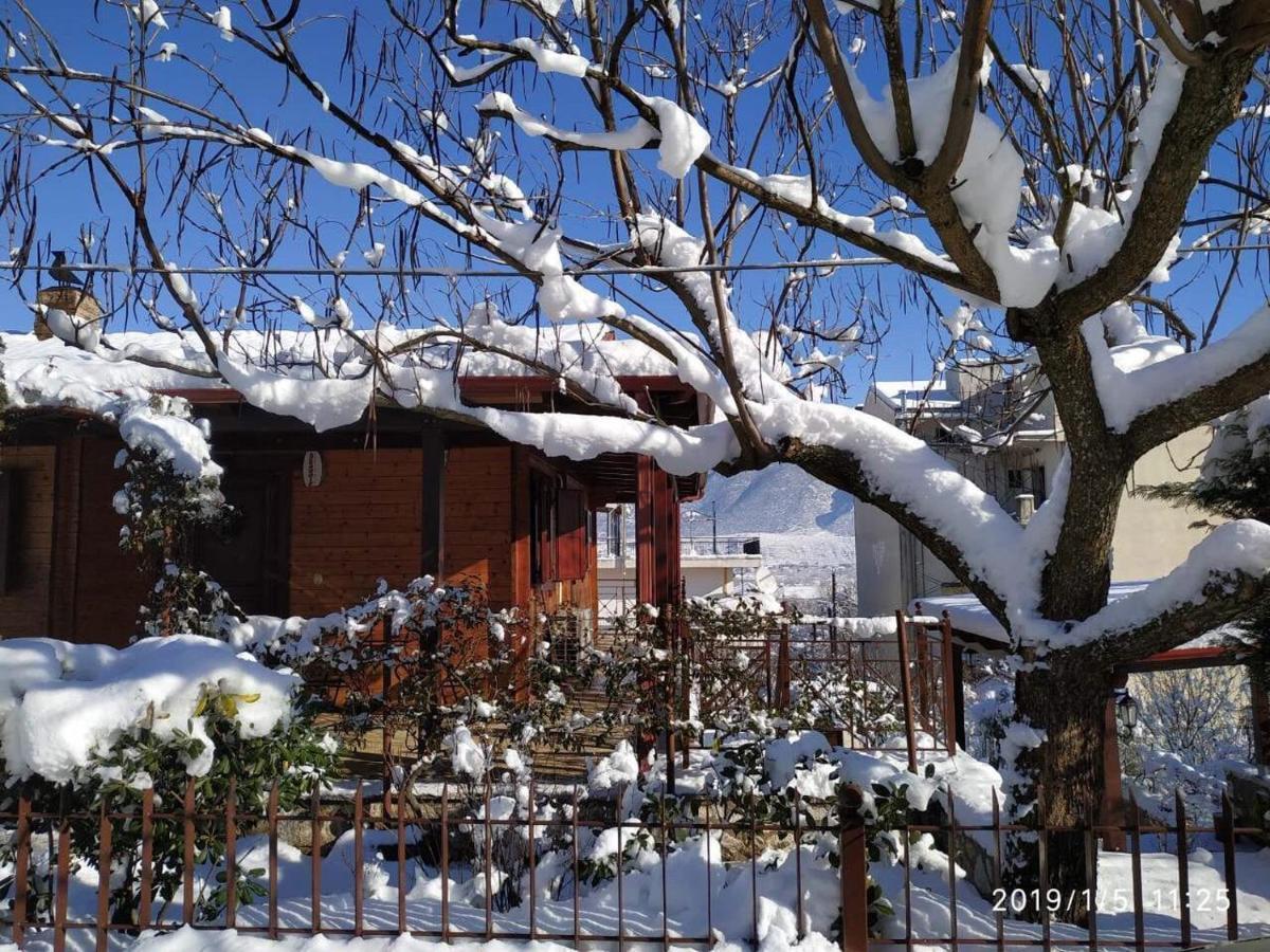Wooden House In Ioannina Apartment Exterior photo